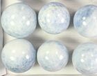 Lot: Blue Calcite Spheres - - Pieces #78045-2